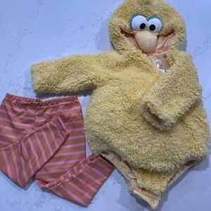 Pottery Barn Kids Big Bird Costume